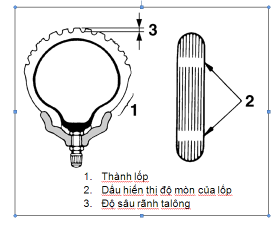 vo xe va nhung dieu can biet3.png